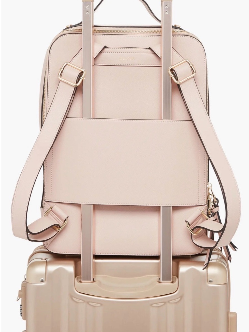 Calpak Beige Leather Backpack - Picture 3 of 7